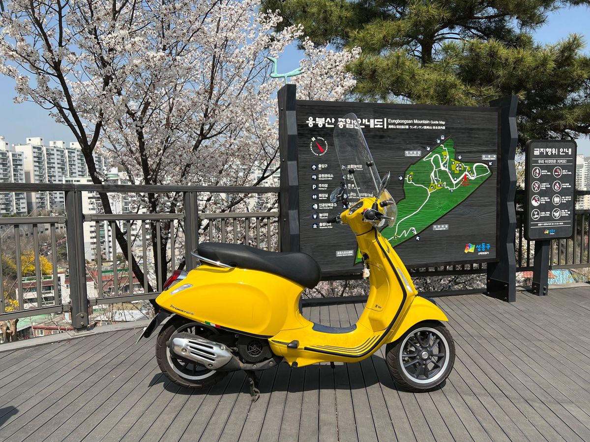 베스파 프리마베라 125 main