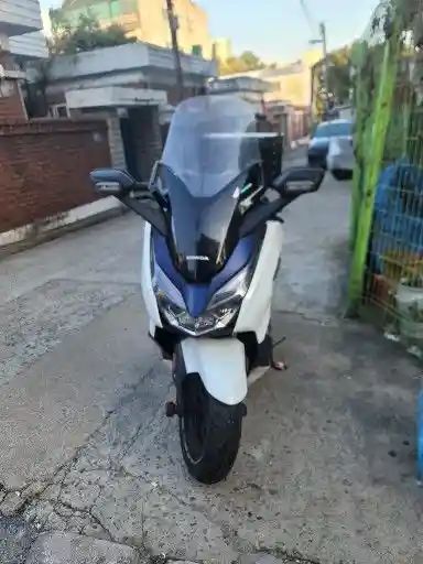혼다 포르자 300 main