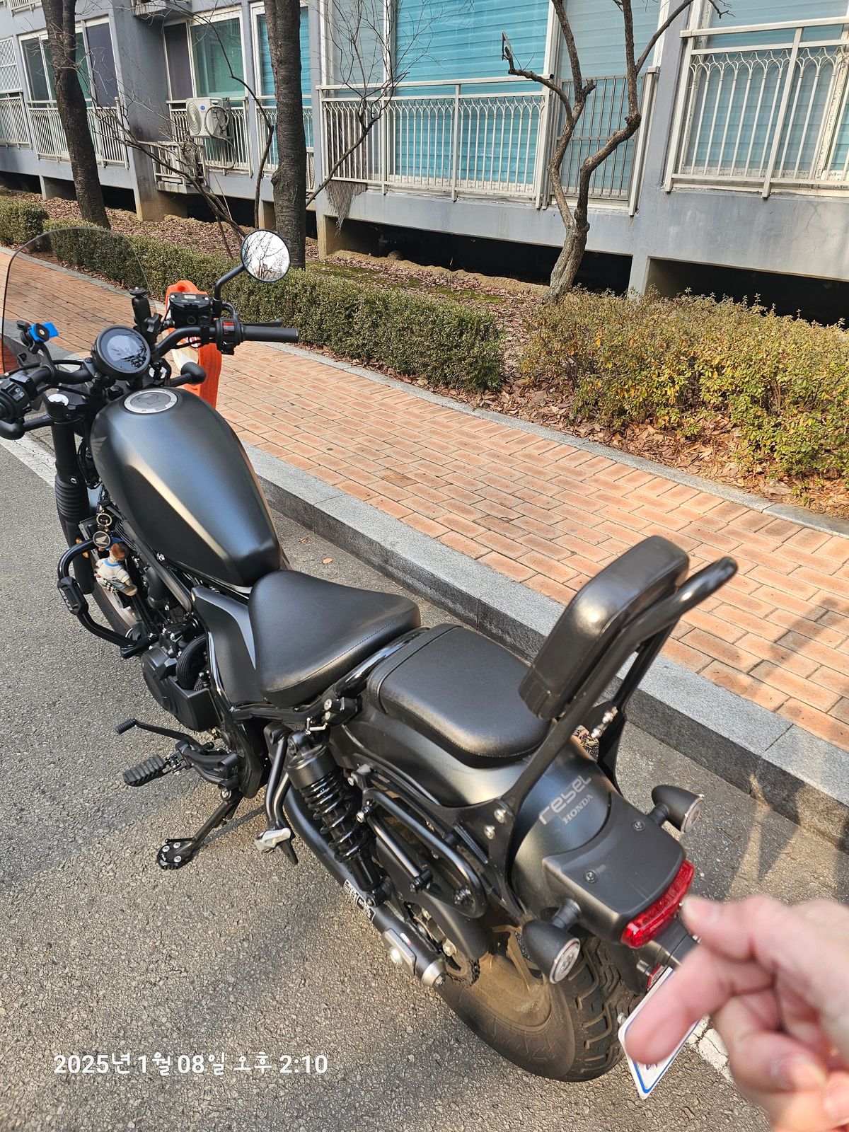 혼다 레블 500 more