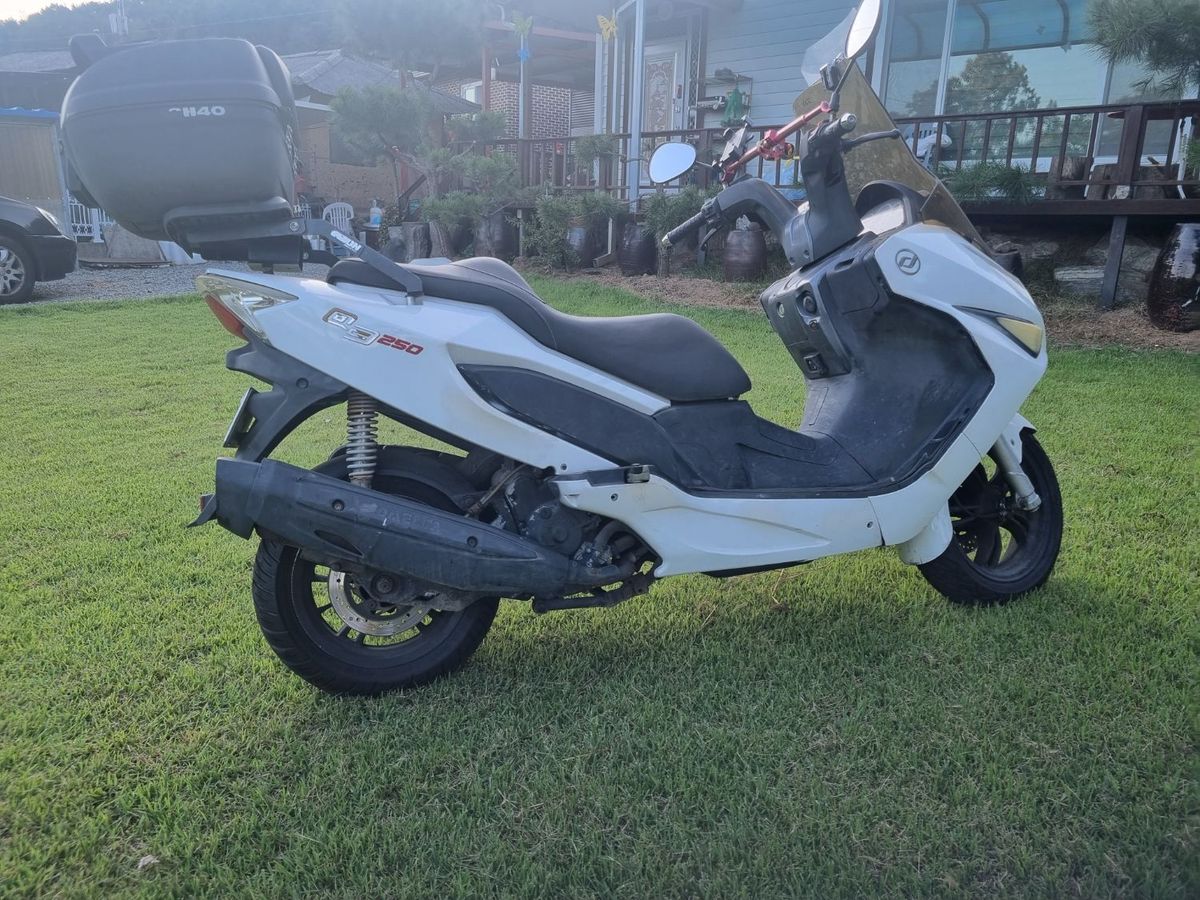 대림 Q3 4