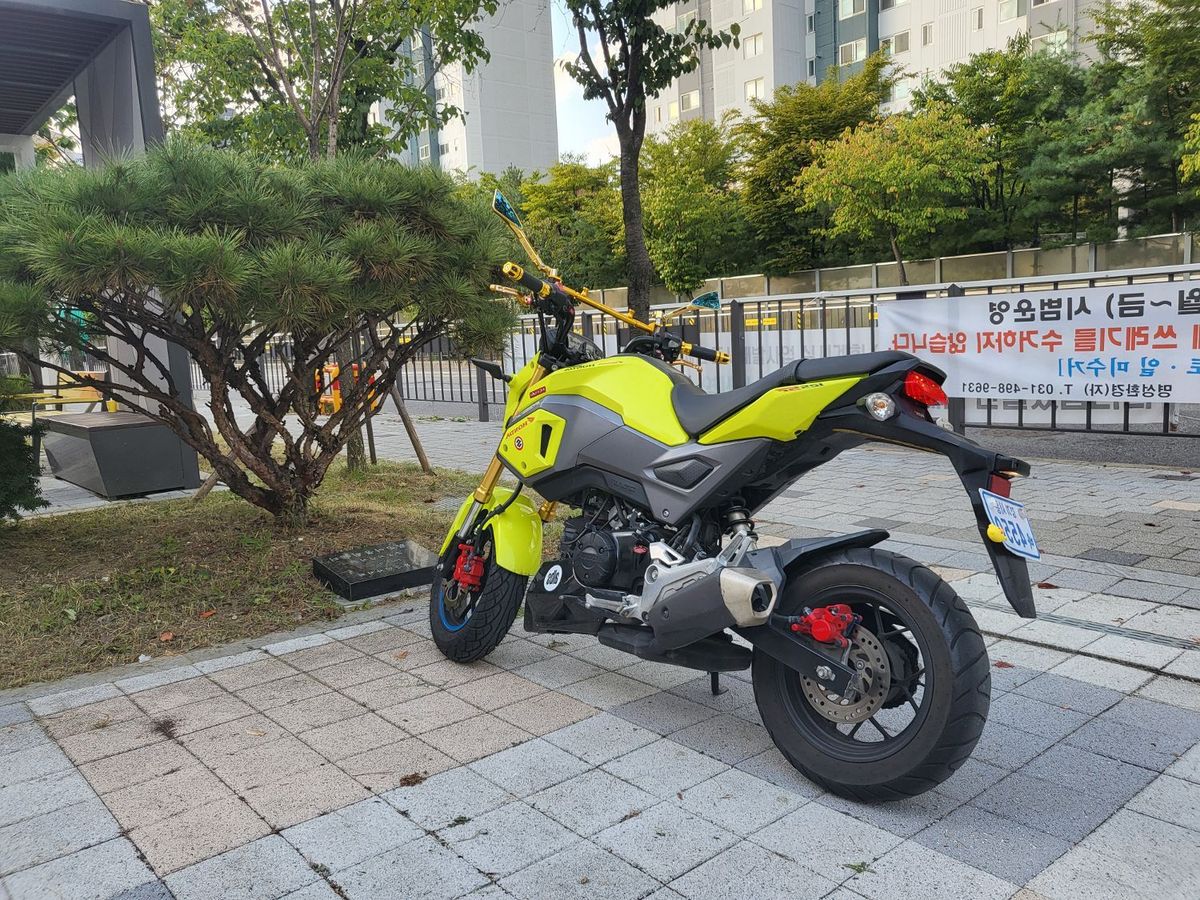 혼다 MSX 125 SF 5