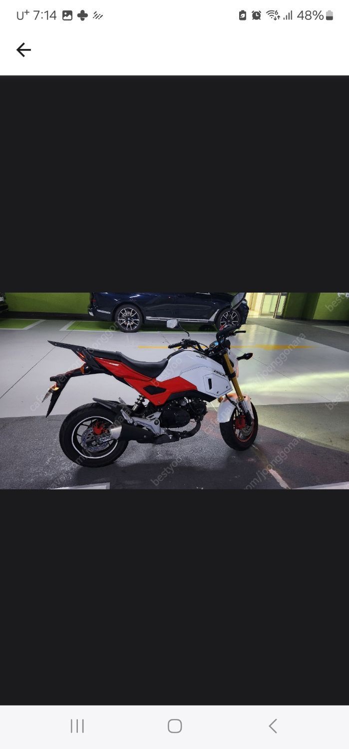 혼다 MSX 125 more
