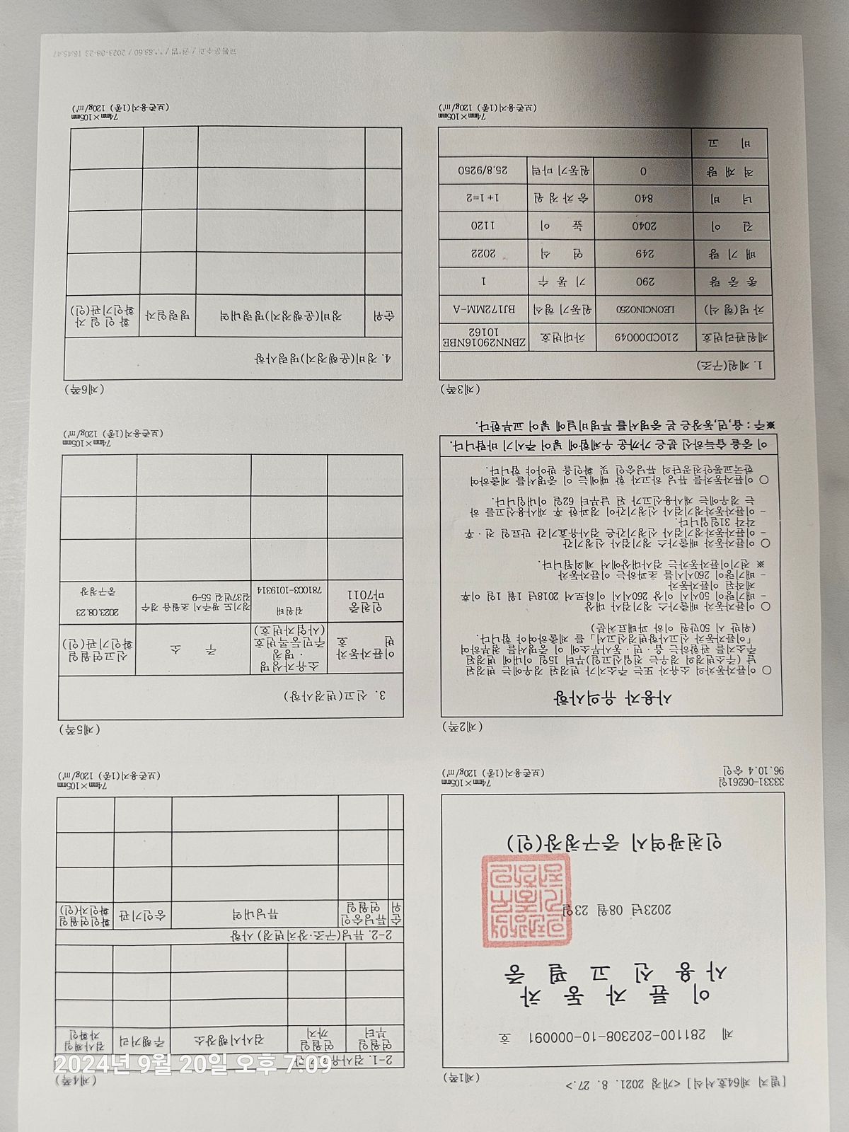 베넬리 레온치노 250 10