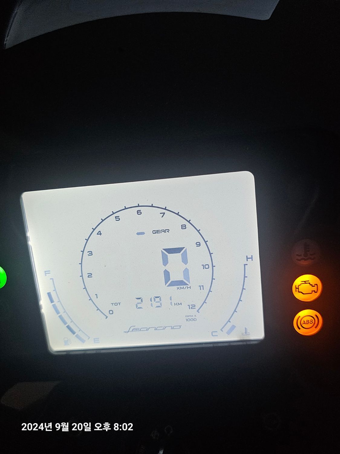 베넬리 레온치노 250 8