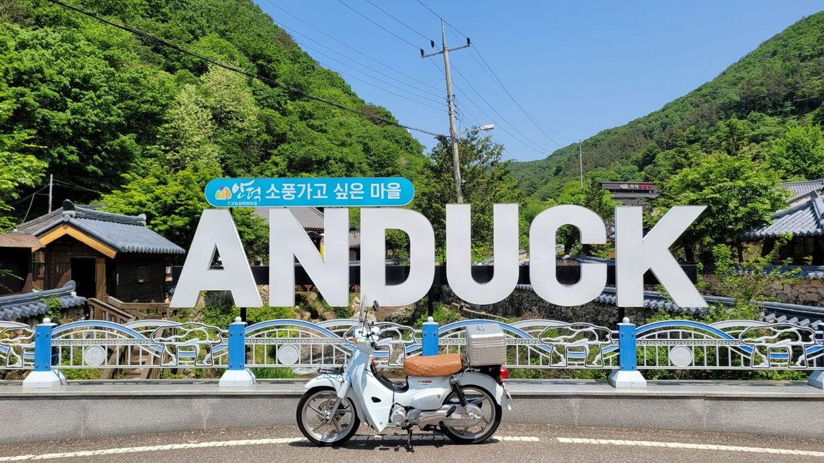 혼다 슈퍼 커브 110 thumb 2