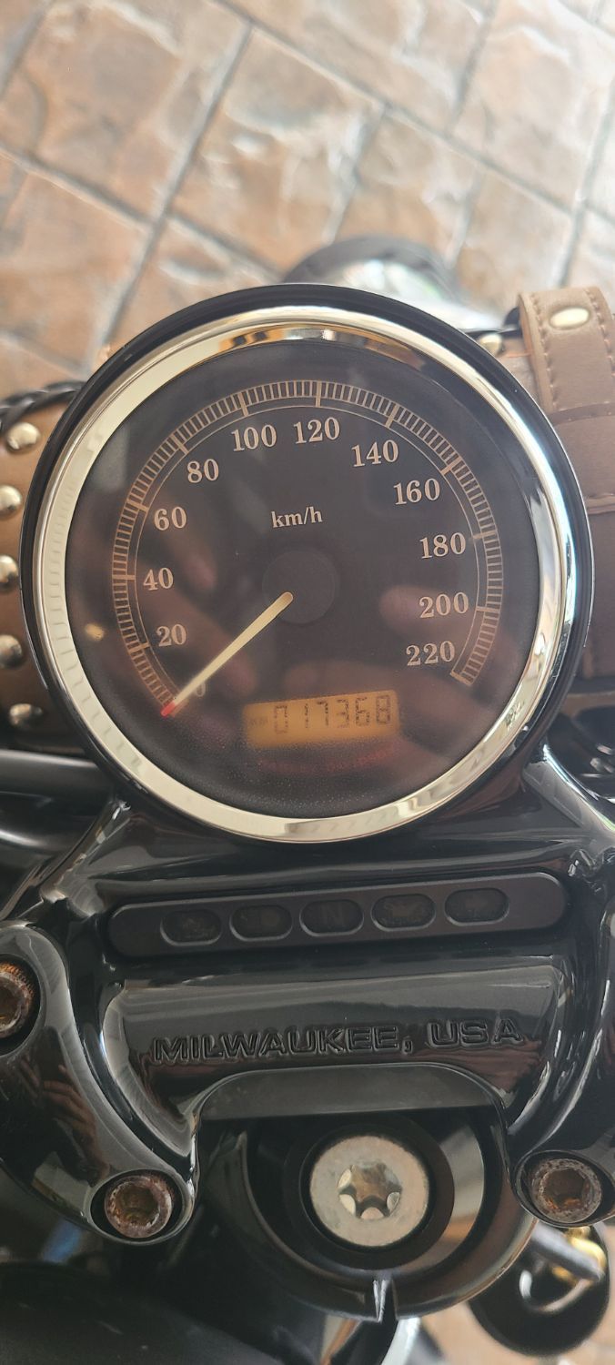 할리데이비슨 포티에잇 10