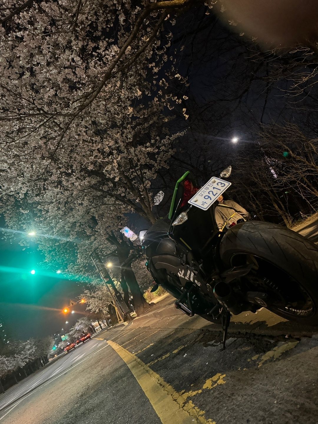 가와사키 Z 1000 R ABS more