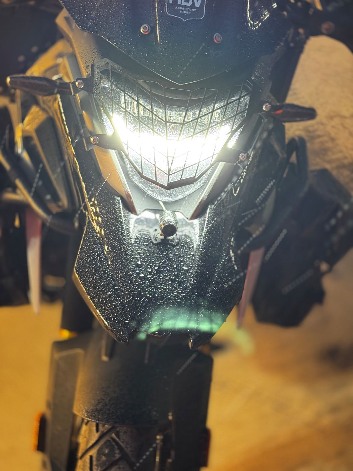 BMW G 310 GS more