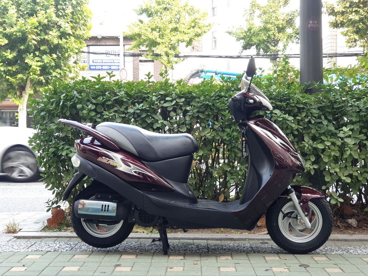 대림 델피노 100 main