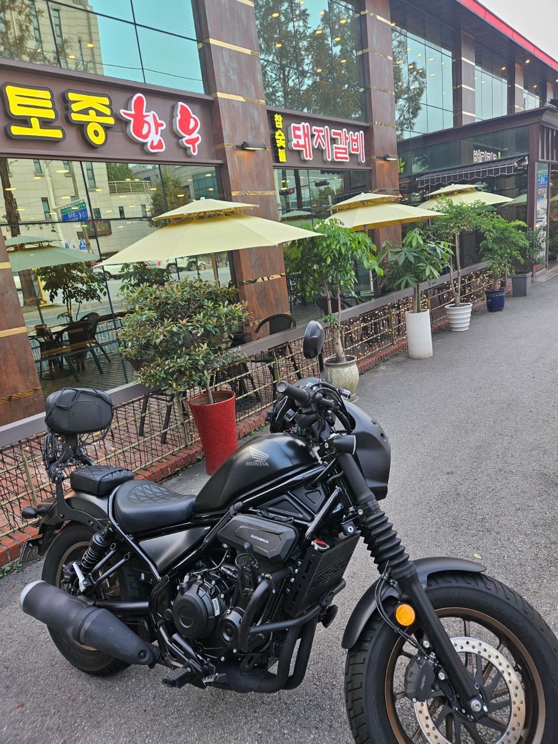 혼다 레블 500 more