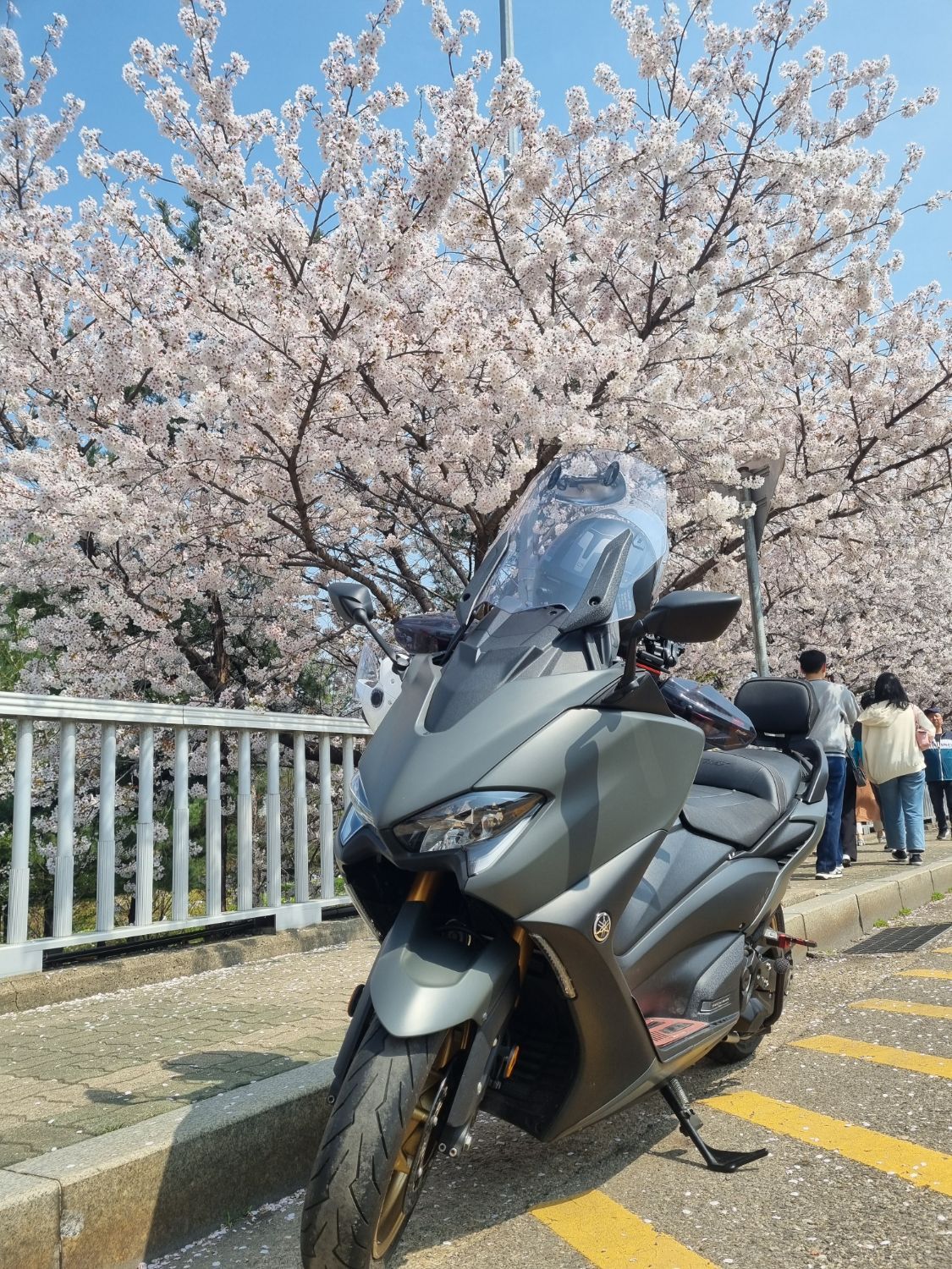 야마하 TMAX 560 thumb 2