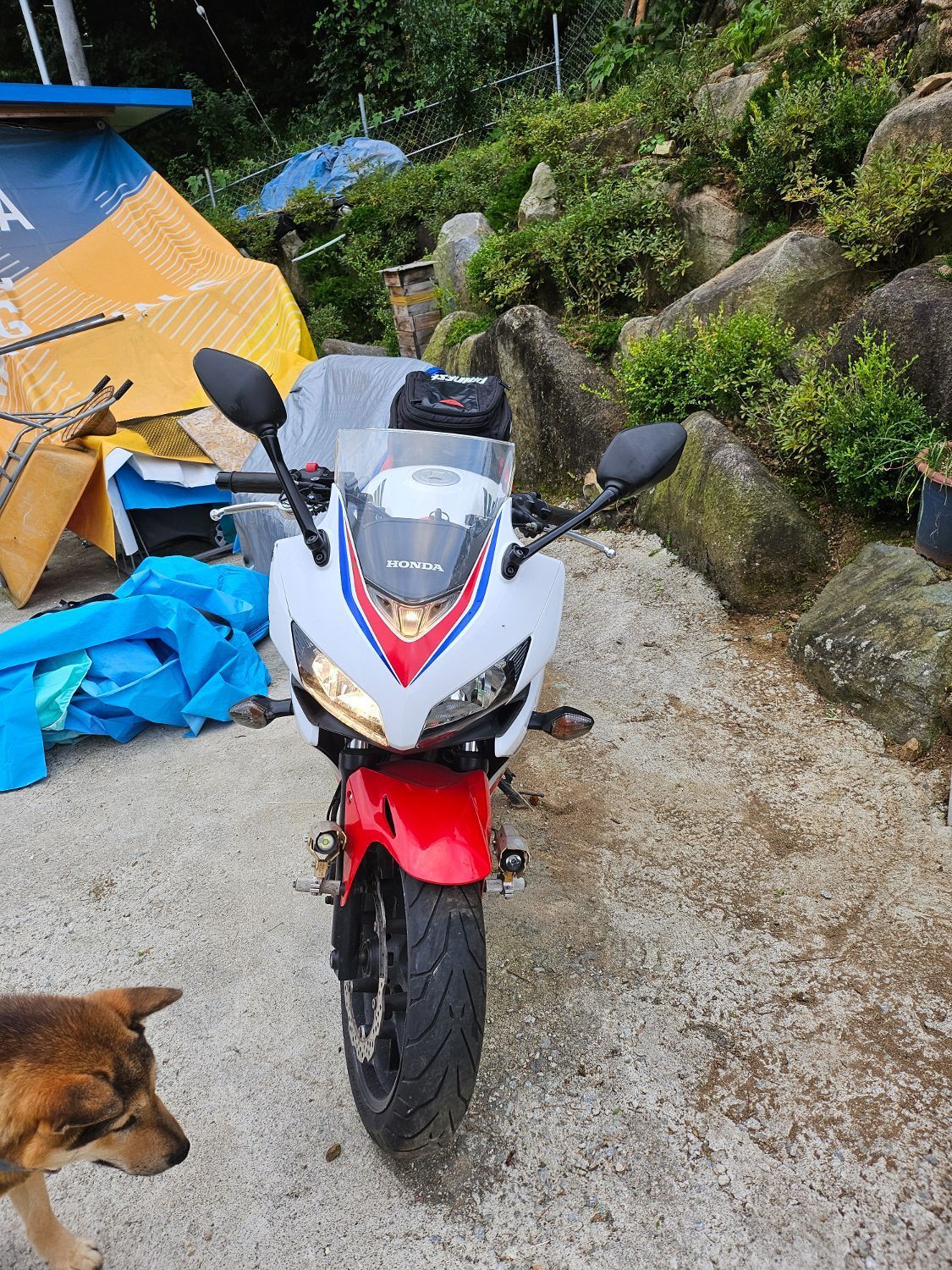혼다 CBR 500 R 5