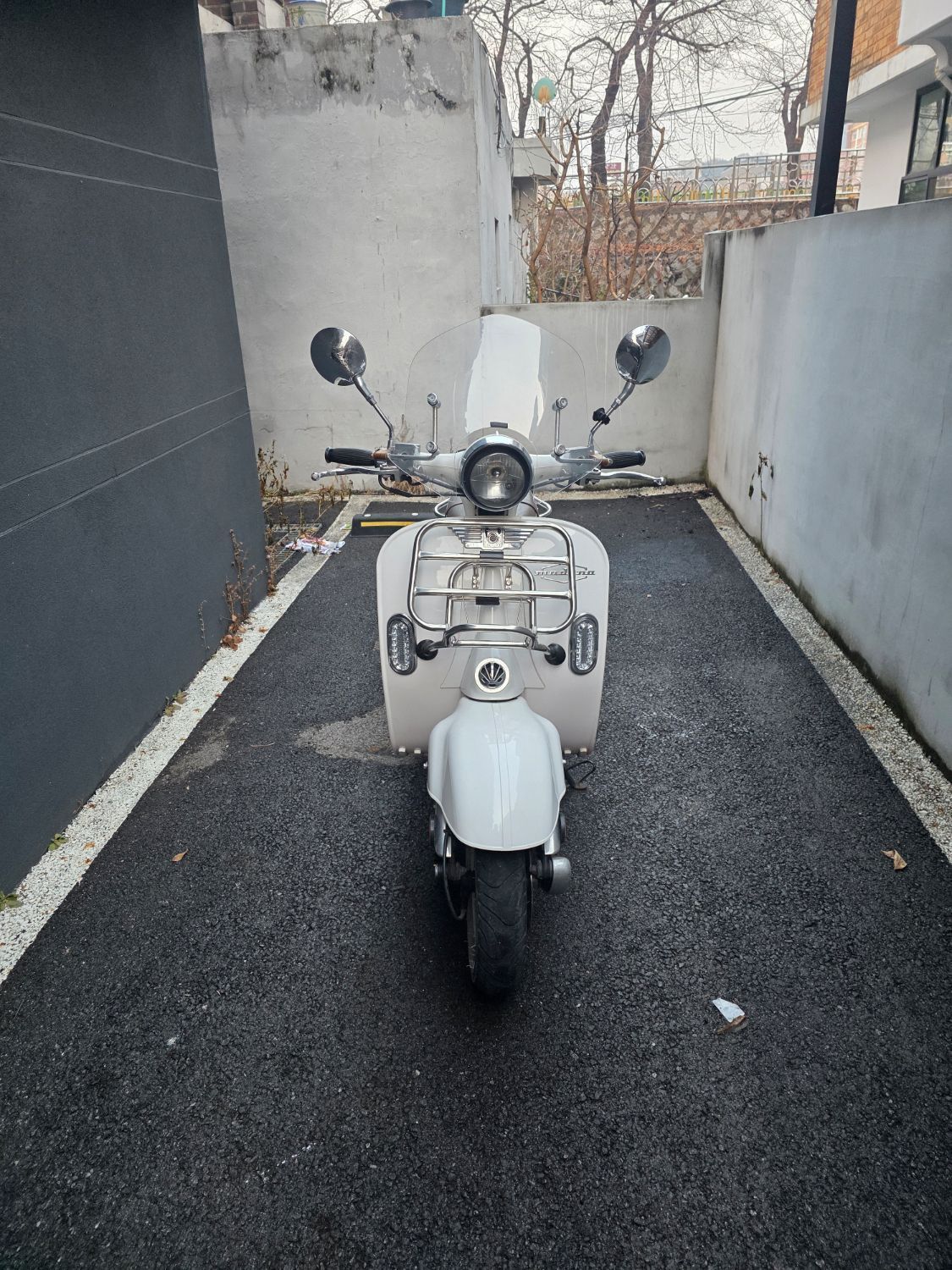 AJS 모데나 125 main