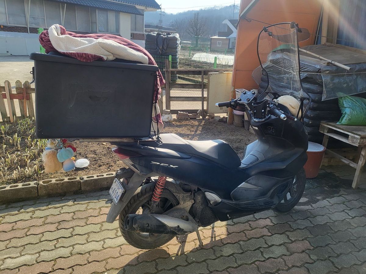 혼다 PCX 125 10