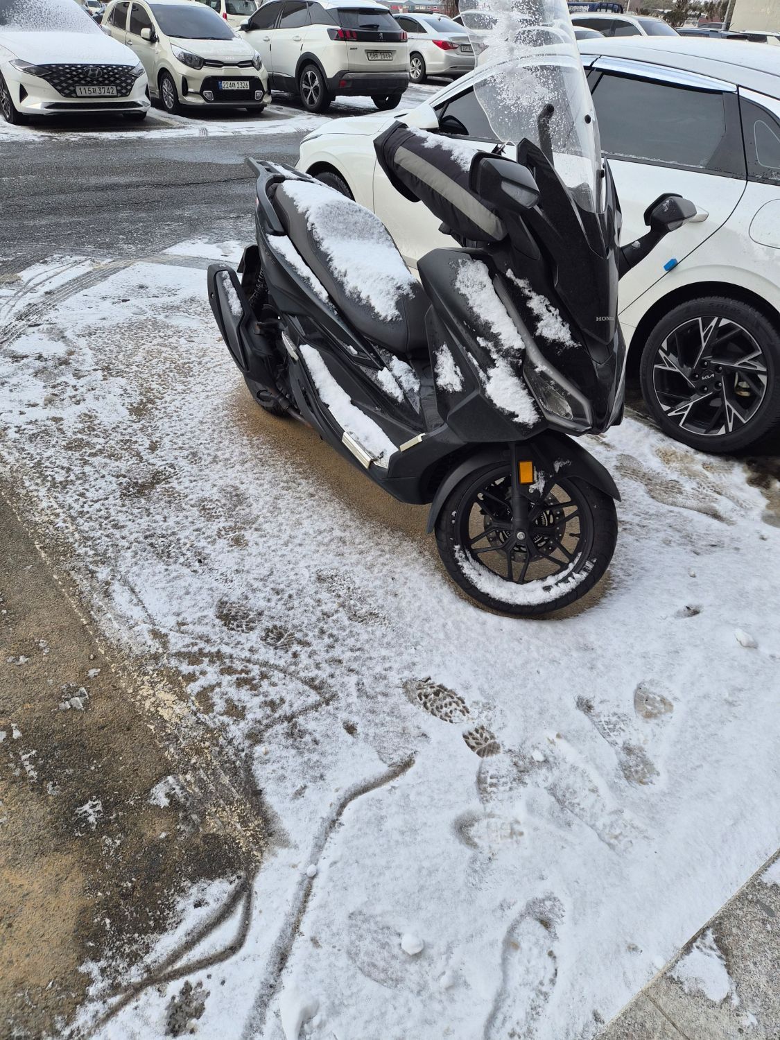 혼다 포르자 350 main