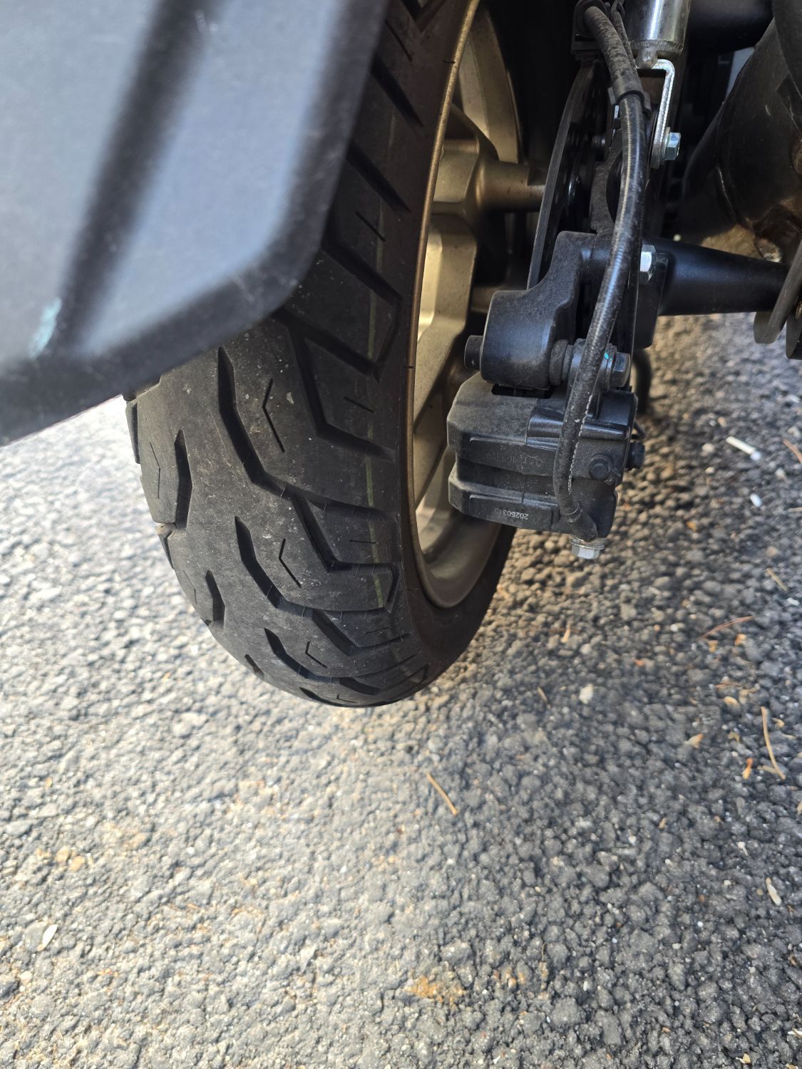 존테스 125 D 4