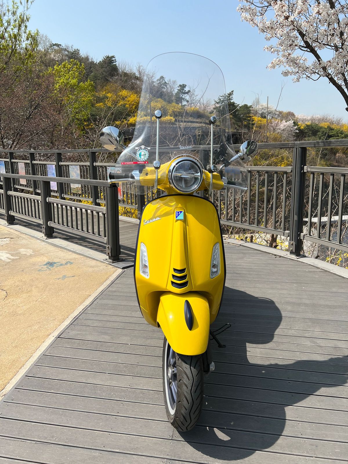 베스파 프리마베라 125 more