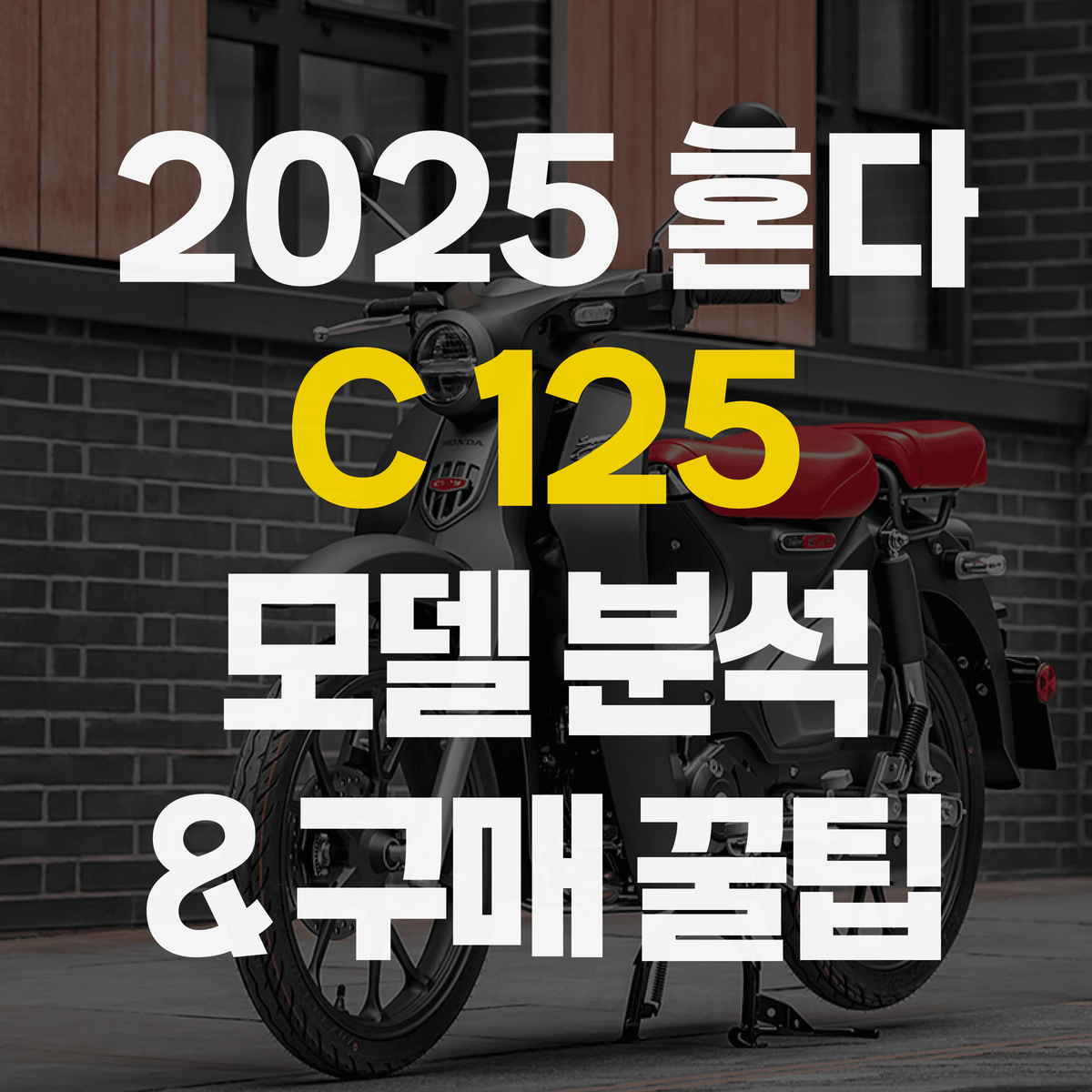 2025 혼다 C125 모델 분석 & 다양한 구매 방법 | 중고, 신차, 구매, 할부, 특징, 가격, 스쿠터