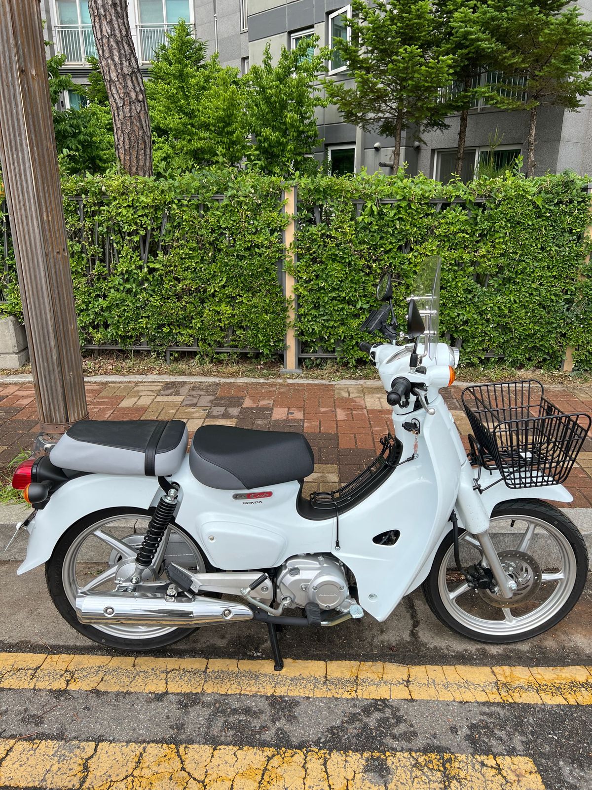 혼다 슈퍼 커브 110 main