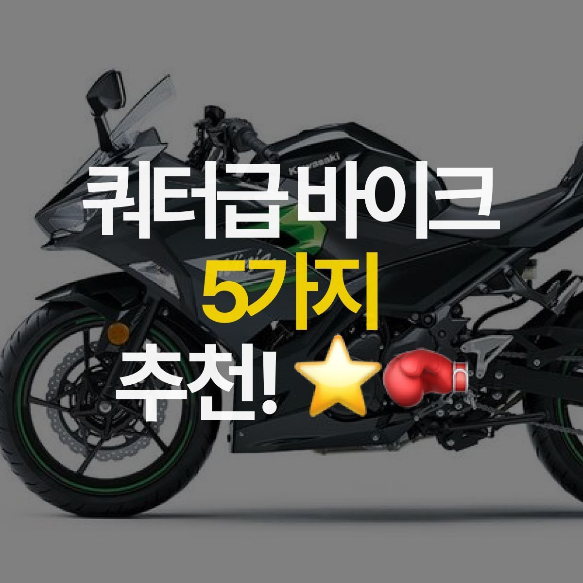 입문용 쿼터급 바이크 5가지 추천 😎
