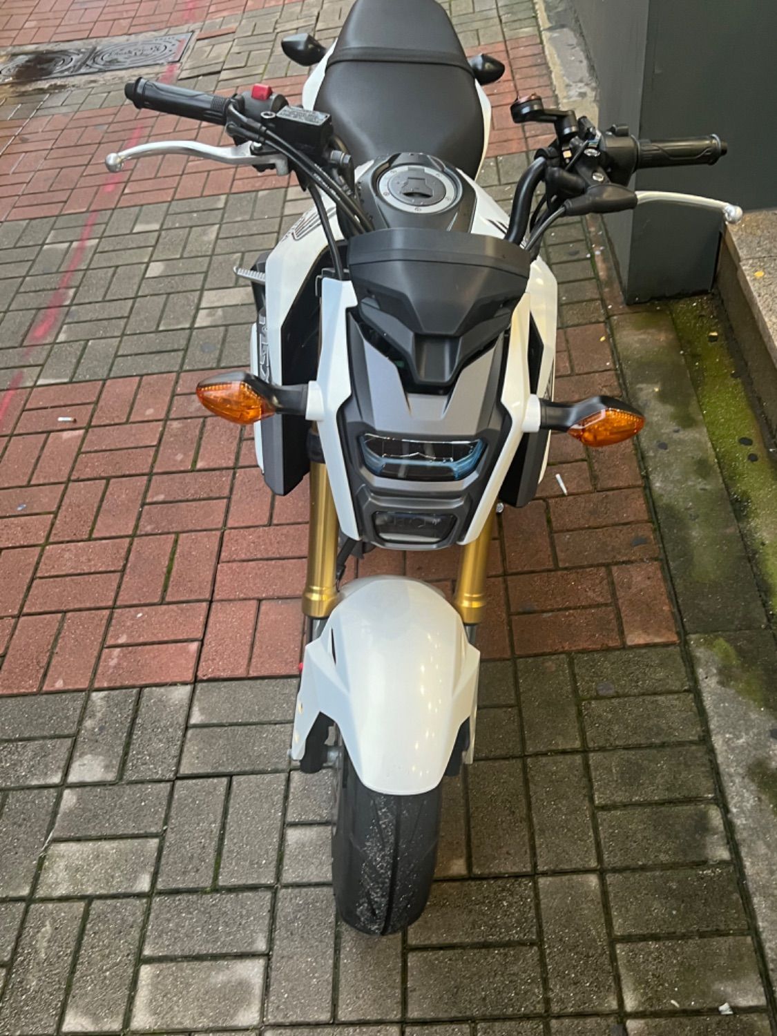 혼다 MSX 125 main