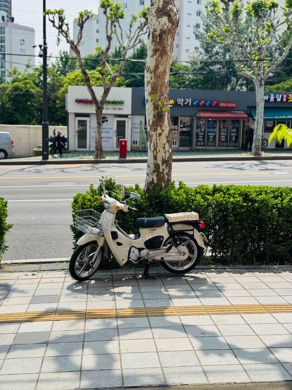 혼다 슈퍼 커브 110 main