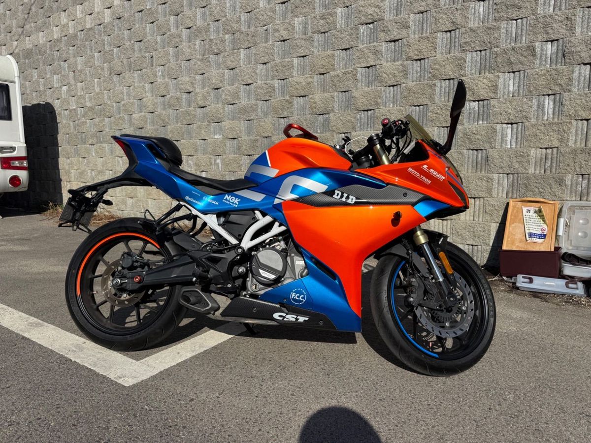 CF모토 300 SR 9