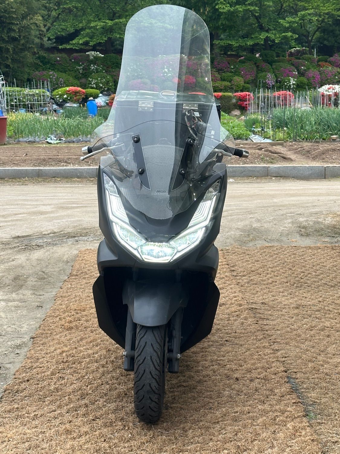 혼다 PCX 125 more