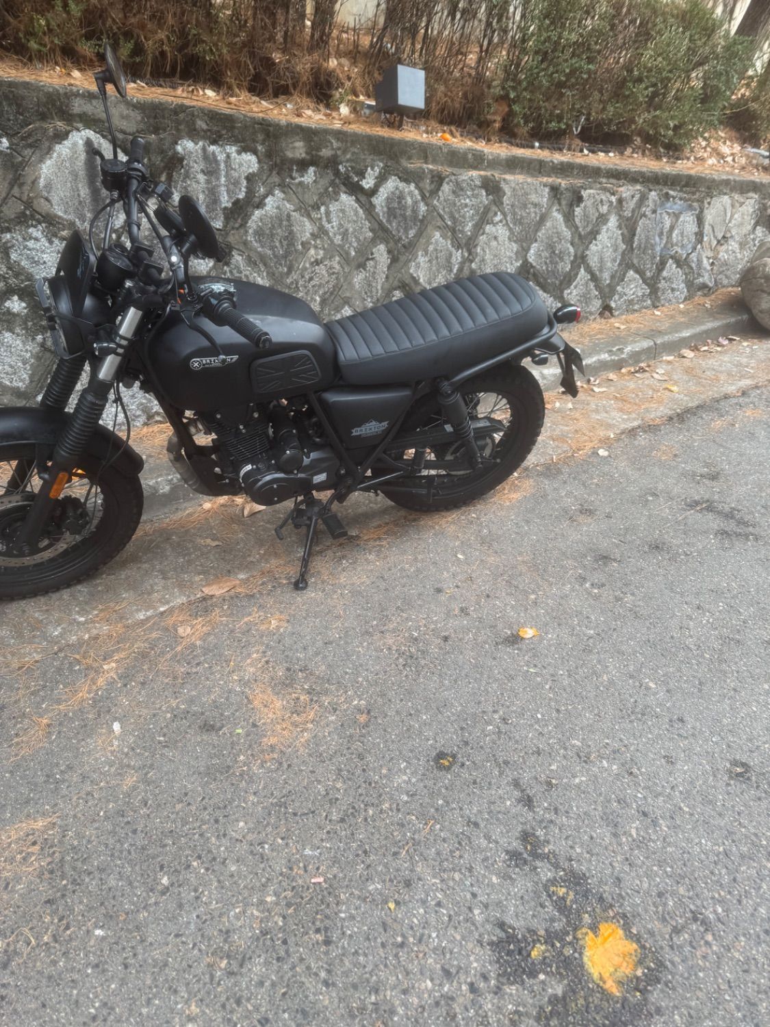 브릭스톤 BX 125 R main