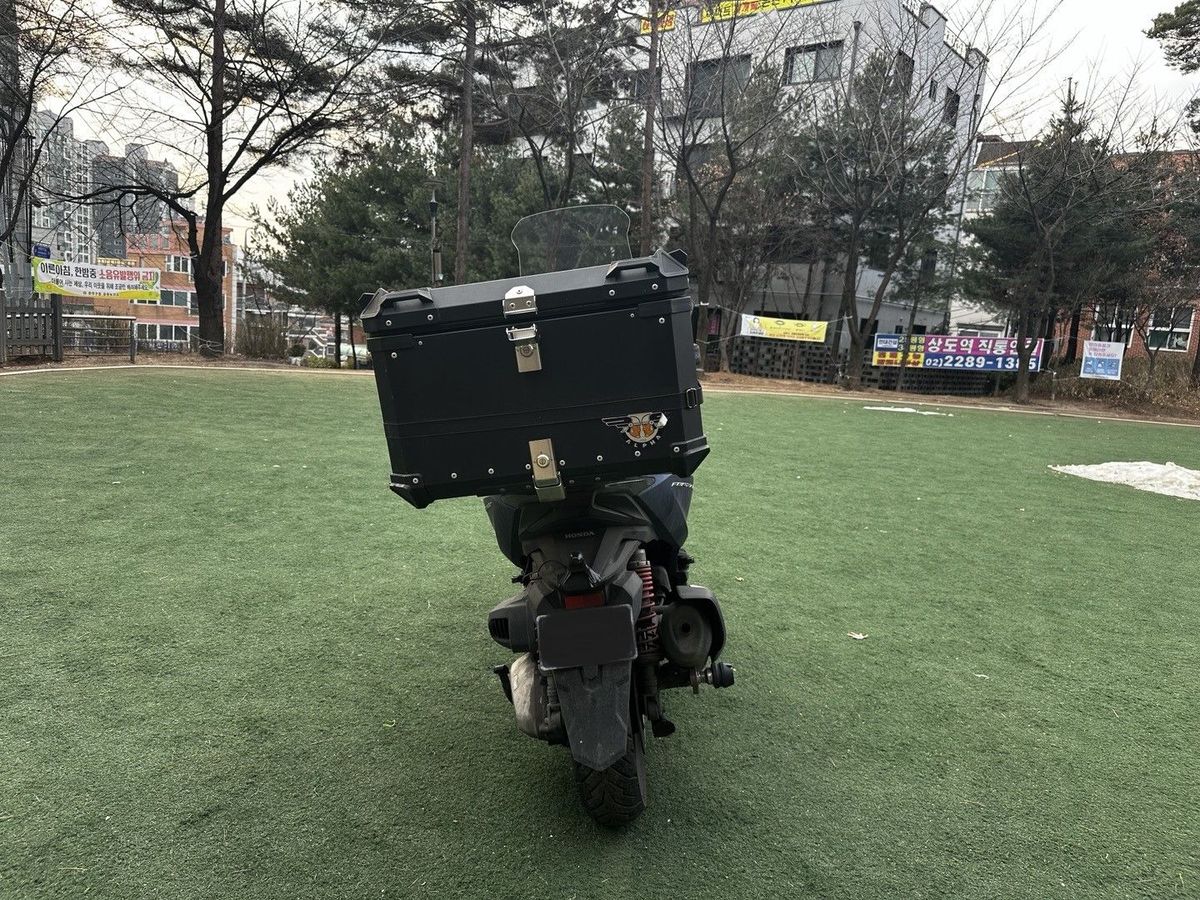 혼다 포르자 350 more