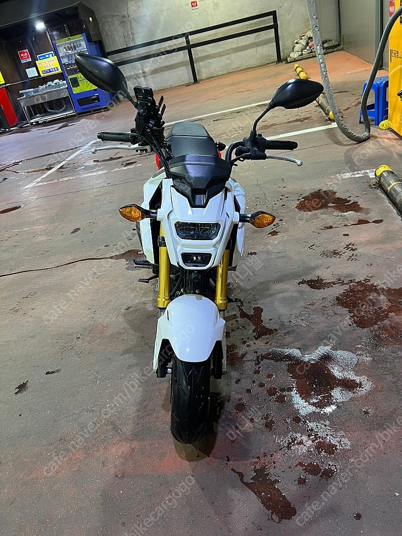 혼다 MSX 125 more