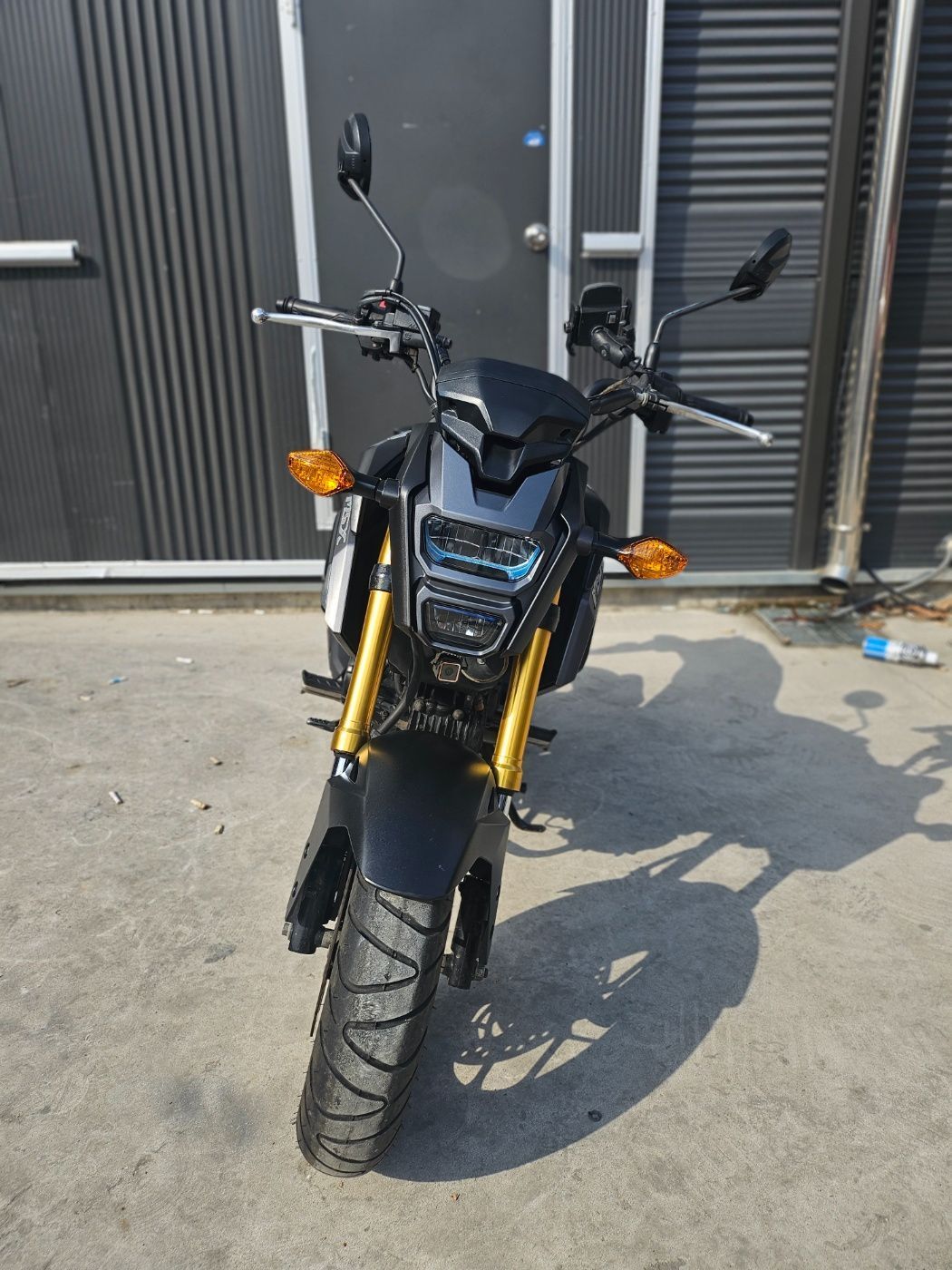 혼다 MSX 125 SF main