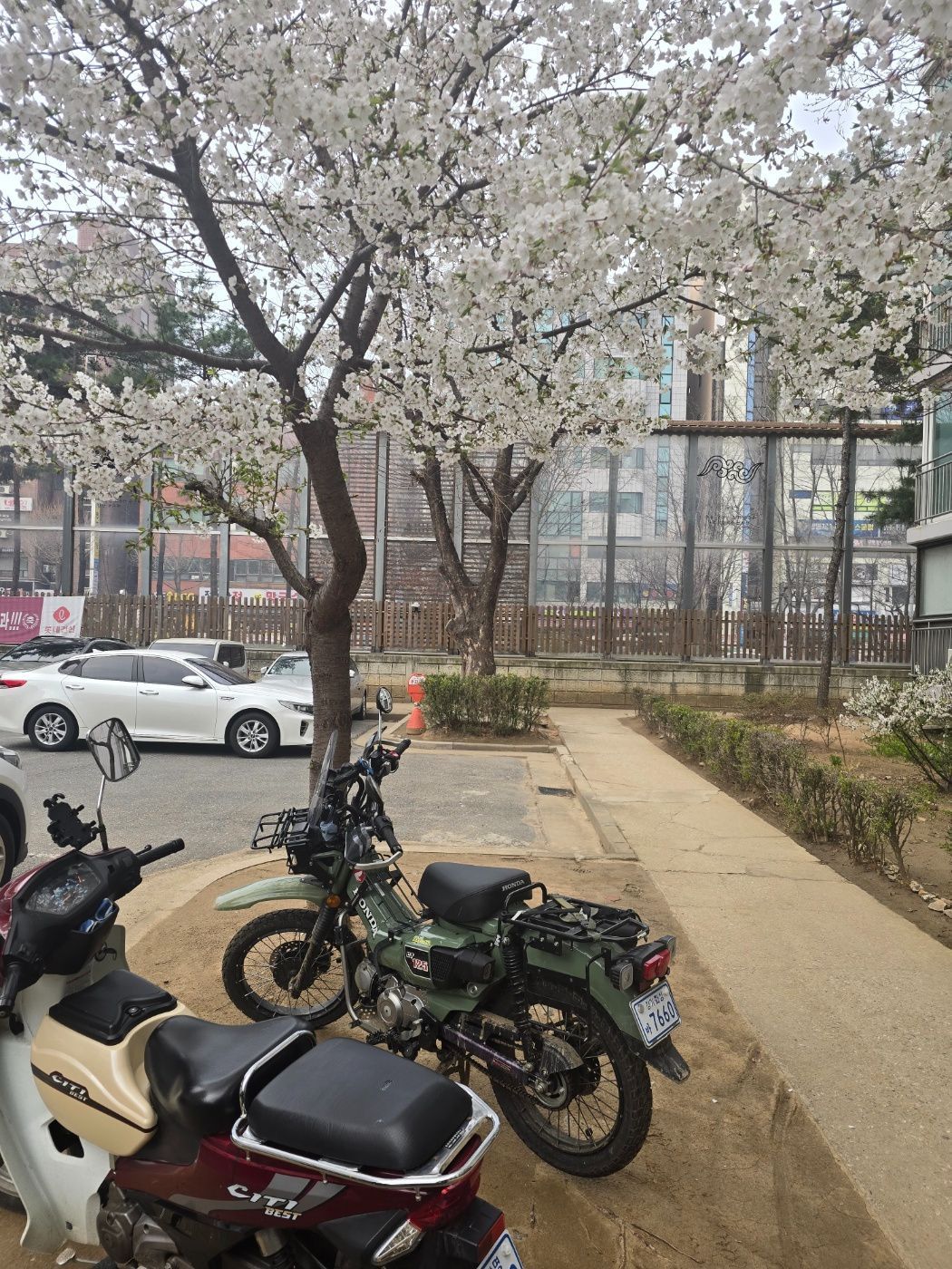 혼다 CT 125 main