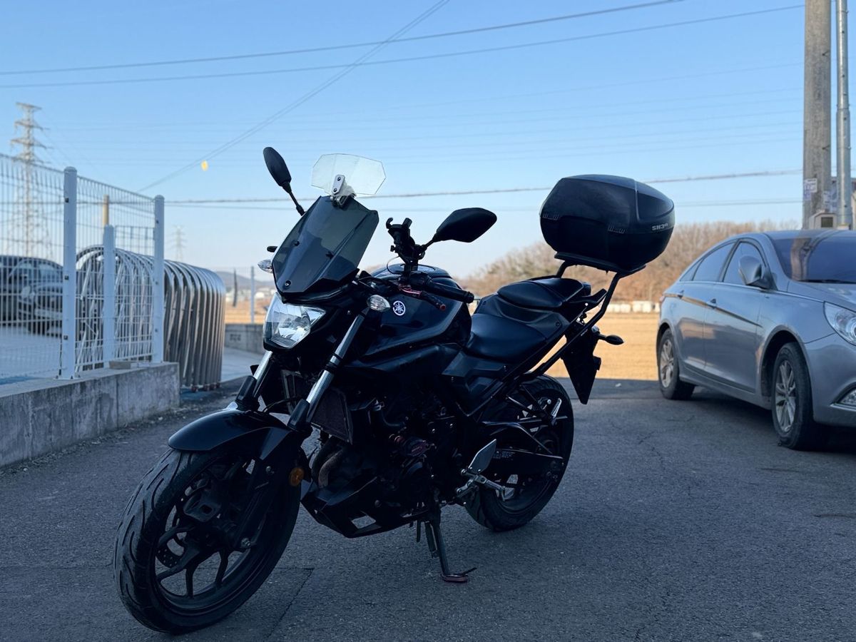 야마하 MT 03 thumb 2