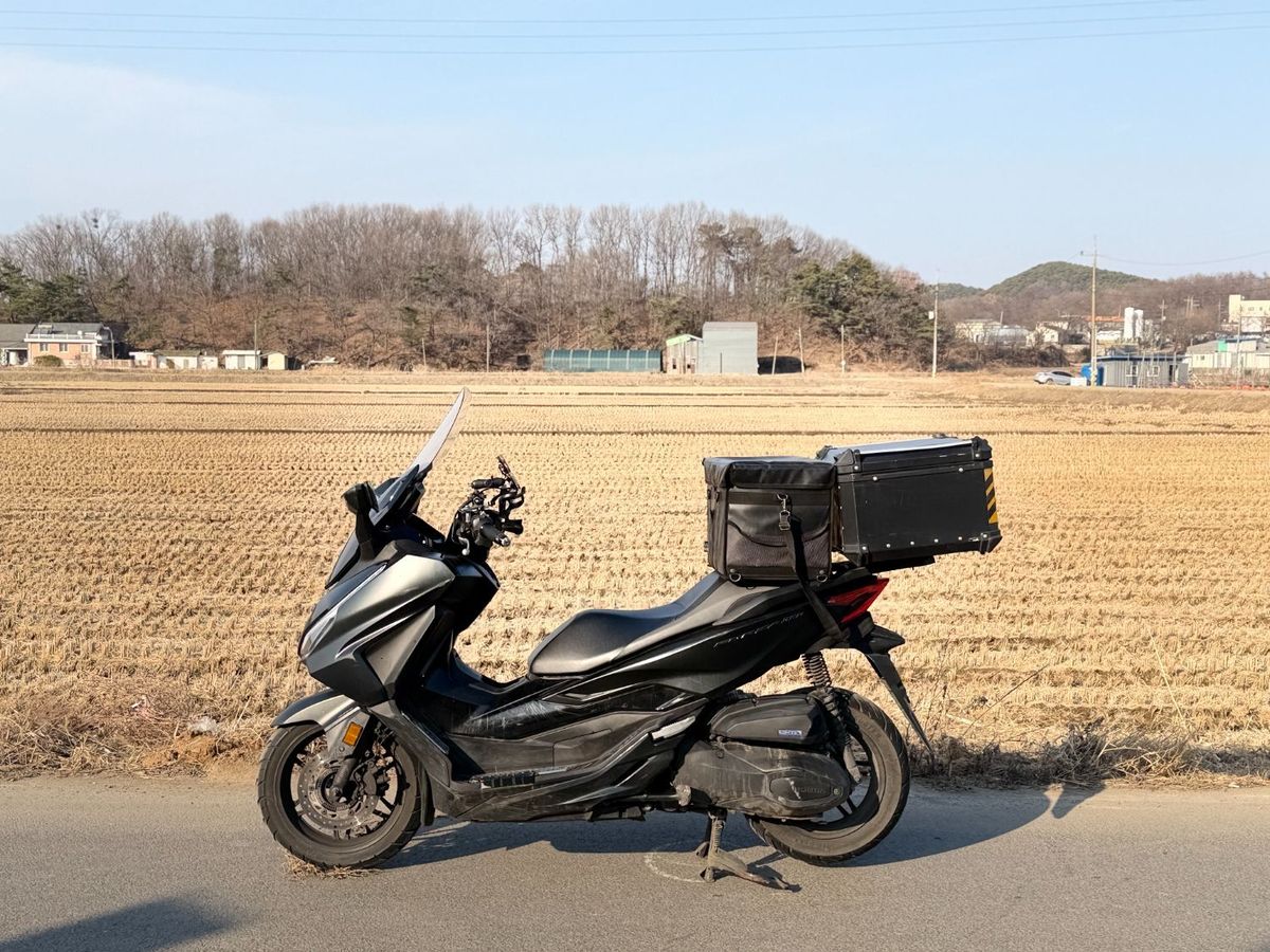 혼다 포르자 350 5