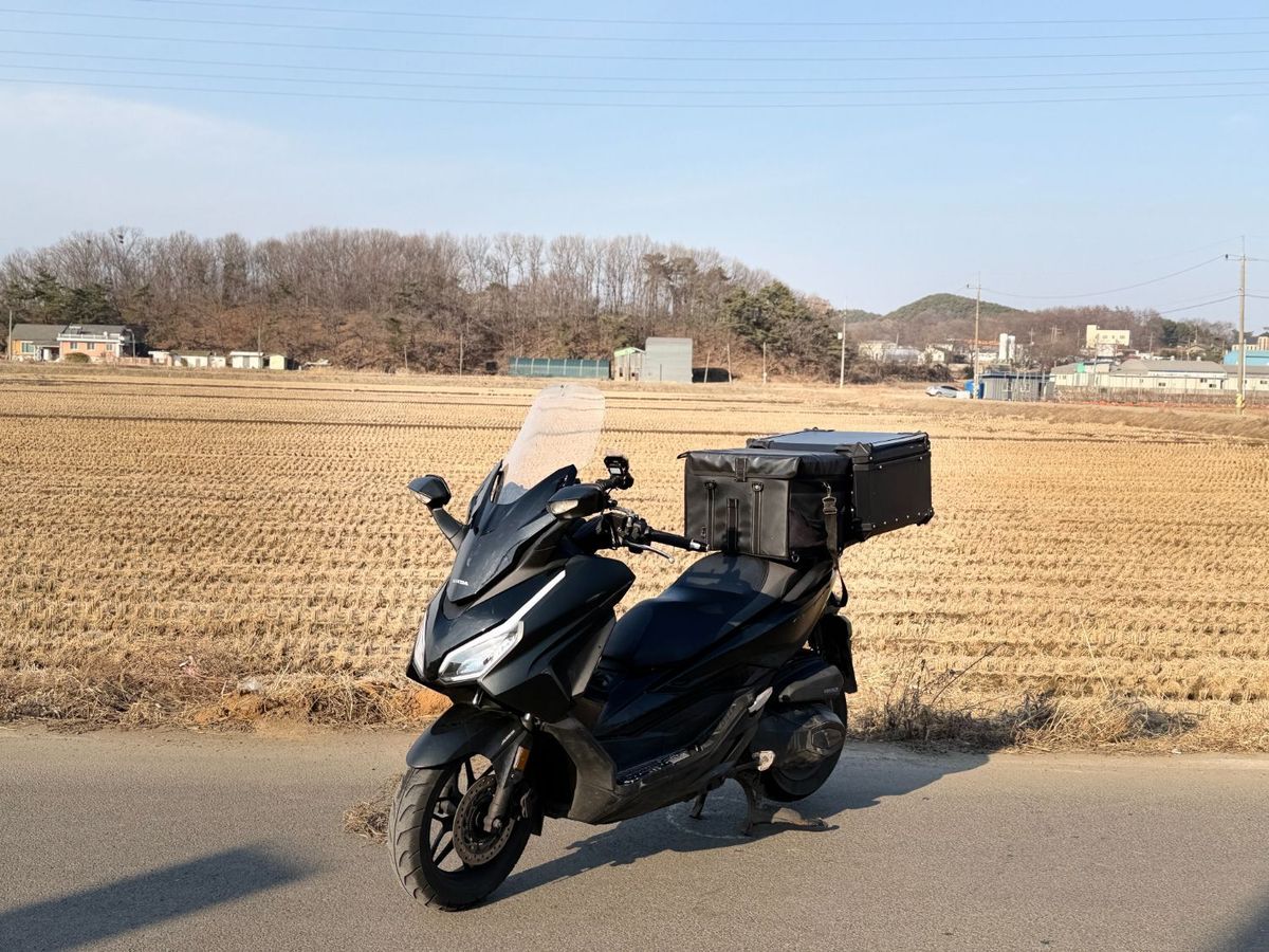 혼다 포르자 350 6