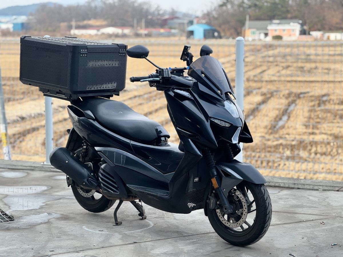 존테스 125 M 5