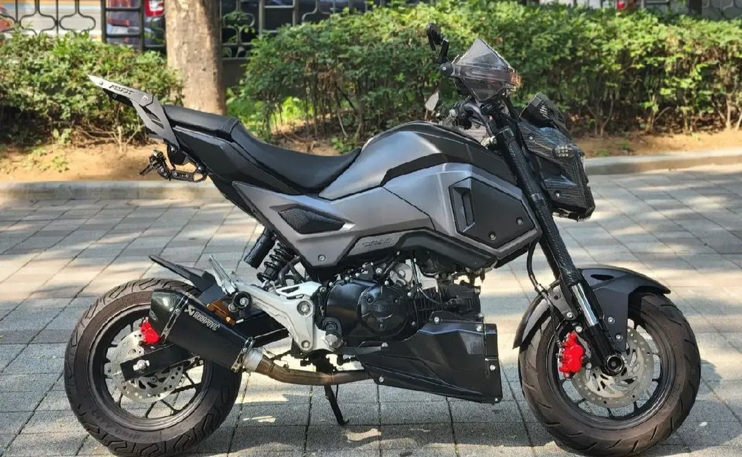 혼다 MSX 125 SF more
