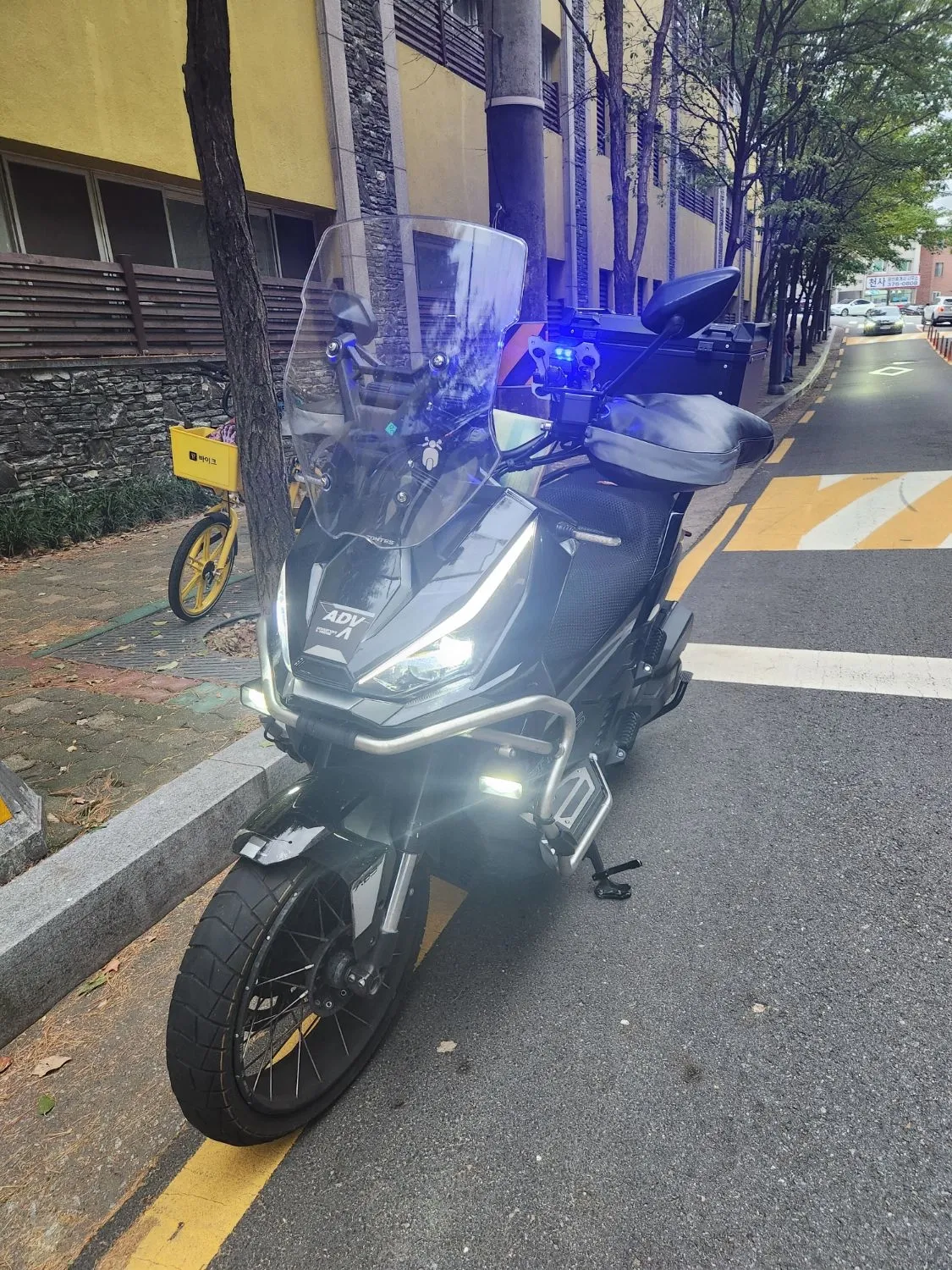 존테스 368 G 2025년식 개인중고 410만원 | 라이트바겐