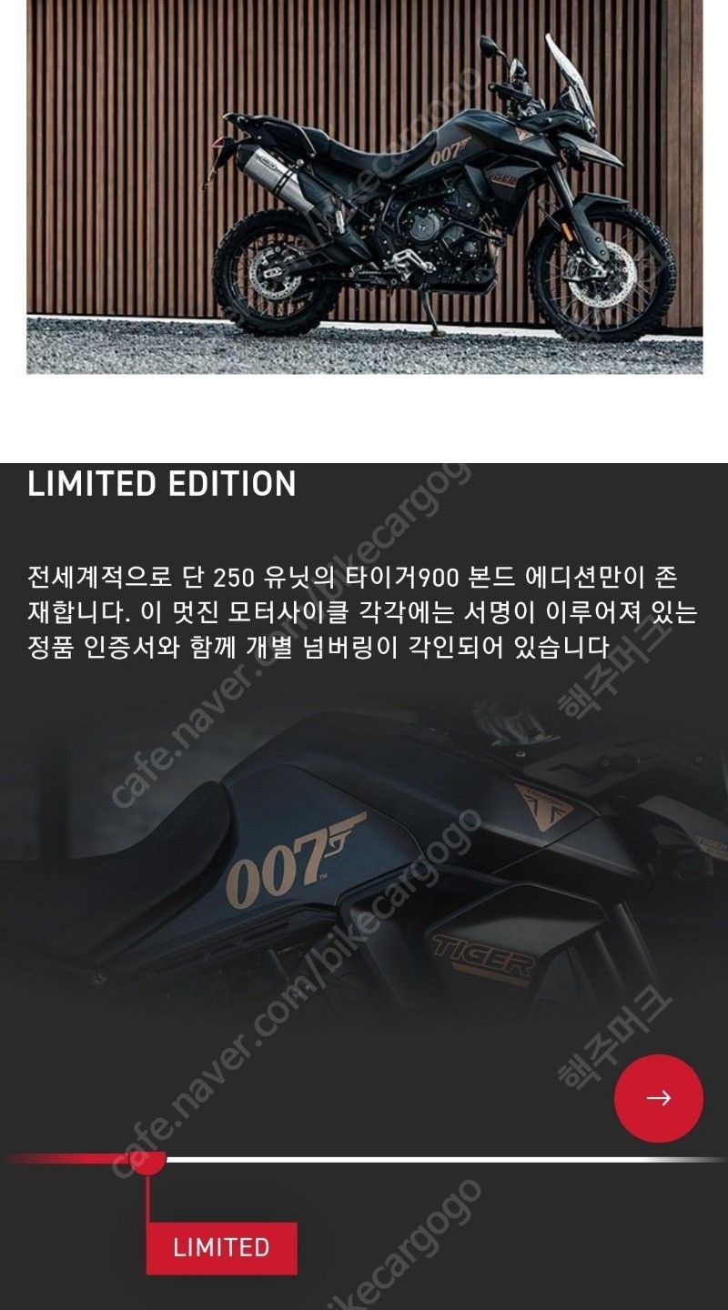 트라이엄프 타이거 900 랠리 프로 13
