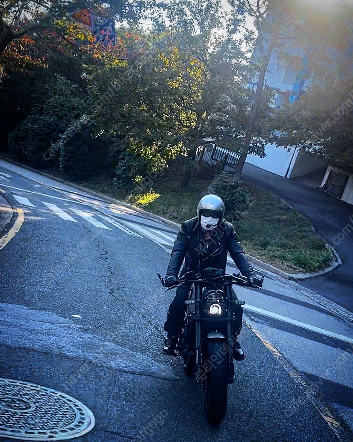 베넬리 레온치노 500 8