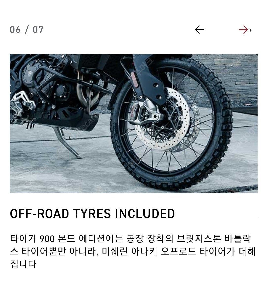 트라이엄프 타이거 900 랠리 프로 25