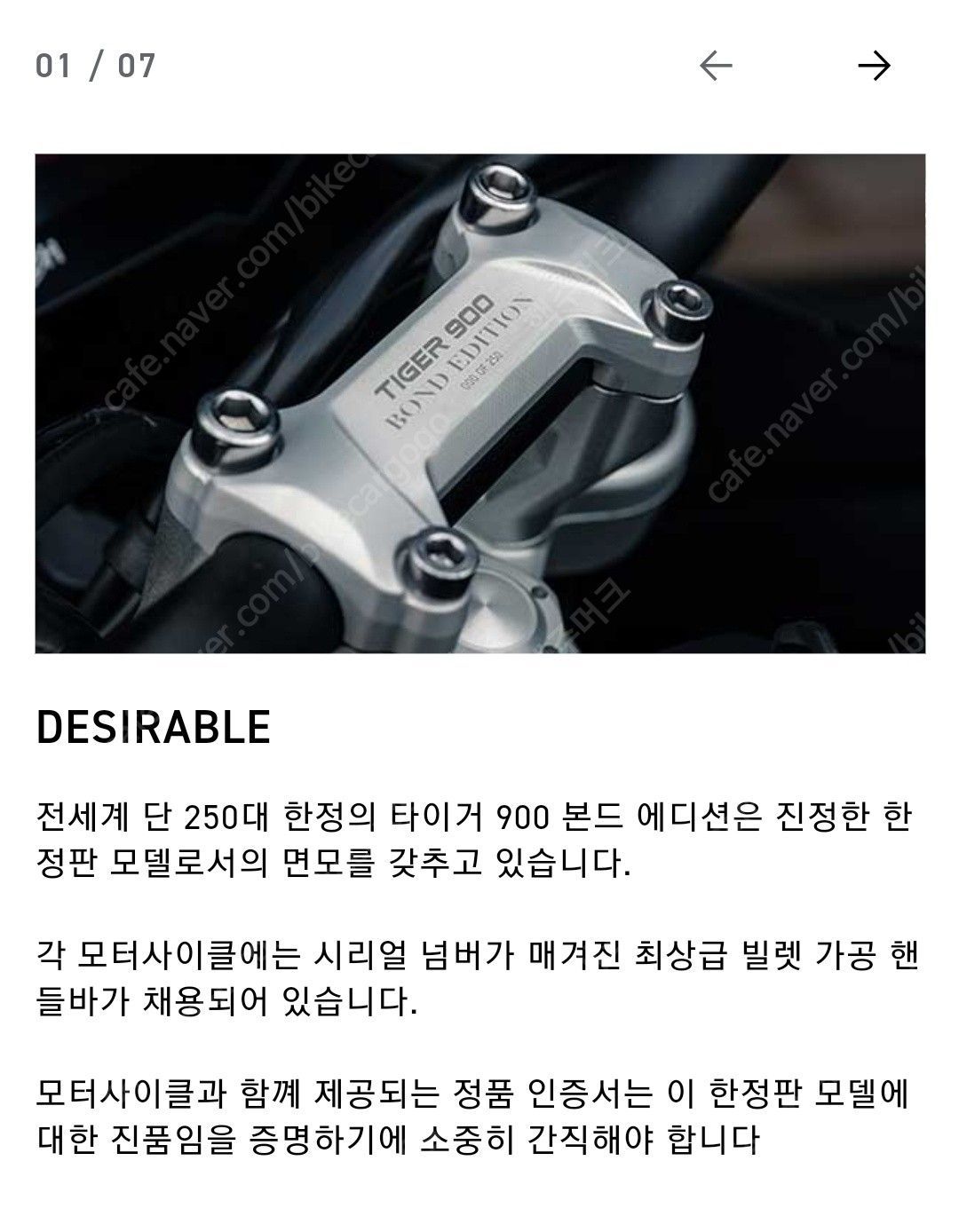 트라이엄프 타이거 900 랠리 프로 20