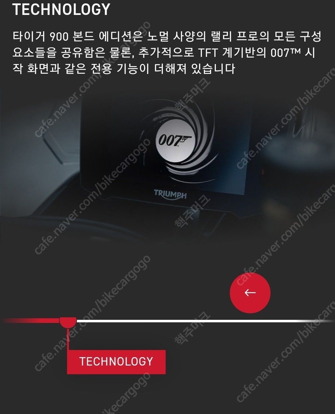 트라이엄프 타이거 900 랠리 프로 16