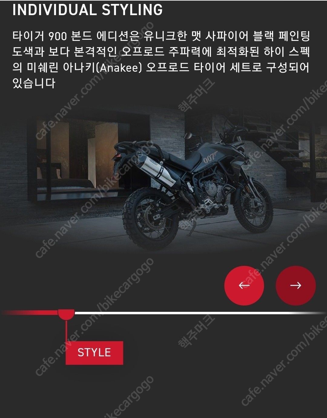 트라이엄프 타이거 900 랠리 프로 15