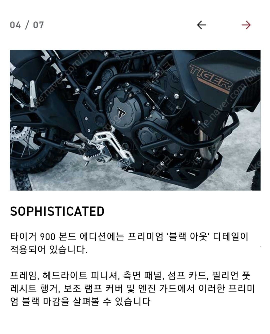 트라이엄프 타이거 900 랠리 프로 23