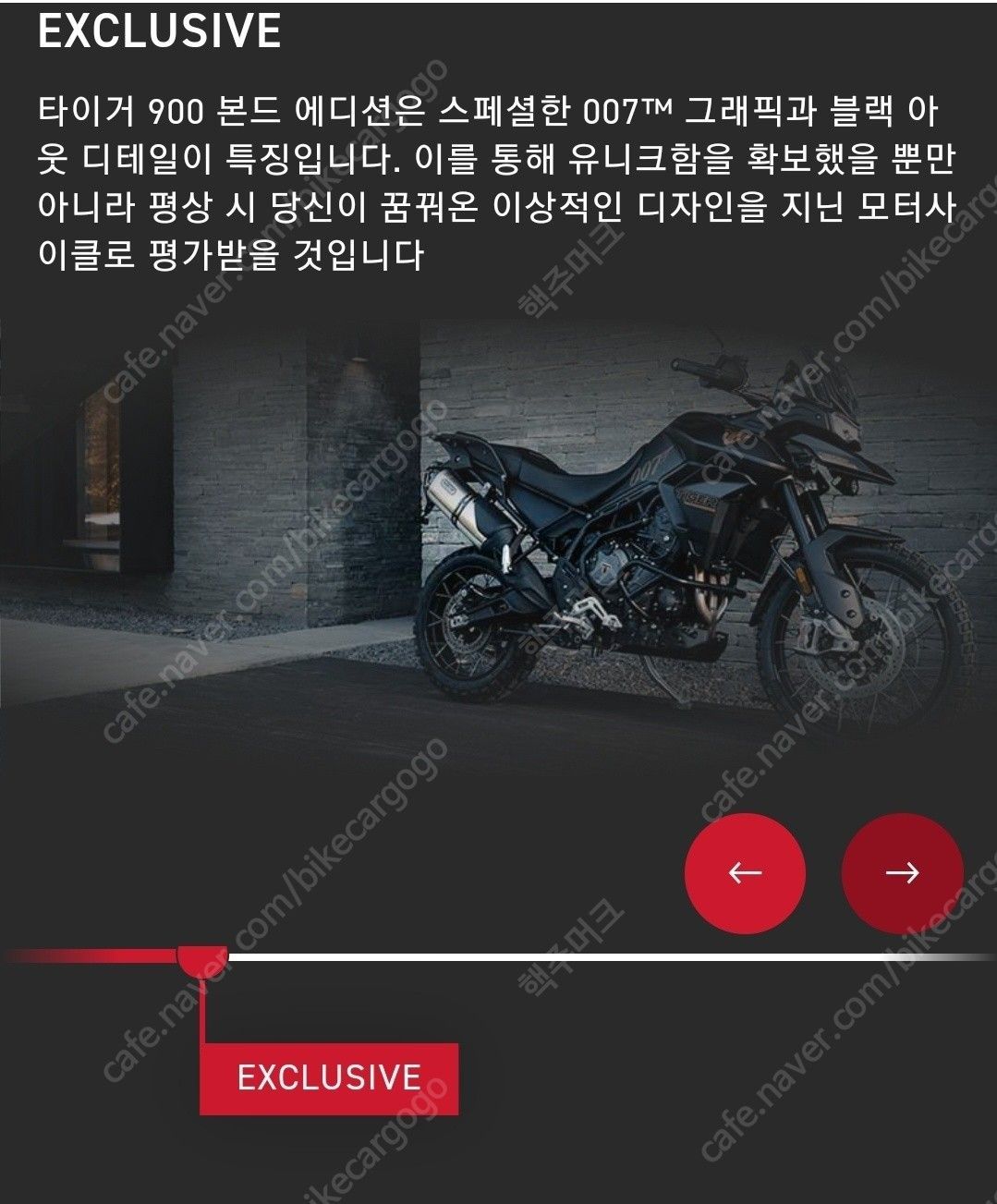 트라이엄프 타이거 900 랠리 프로 14