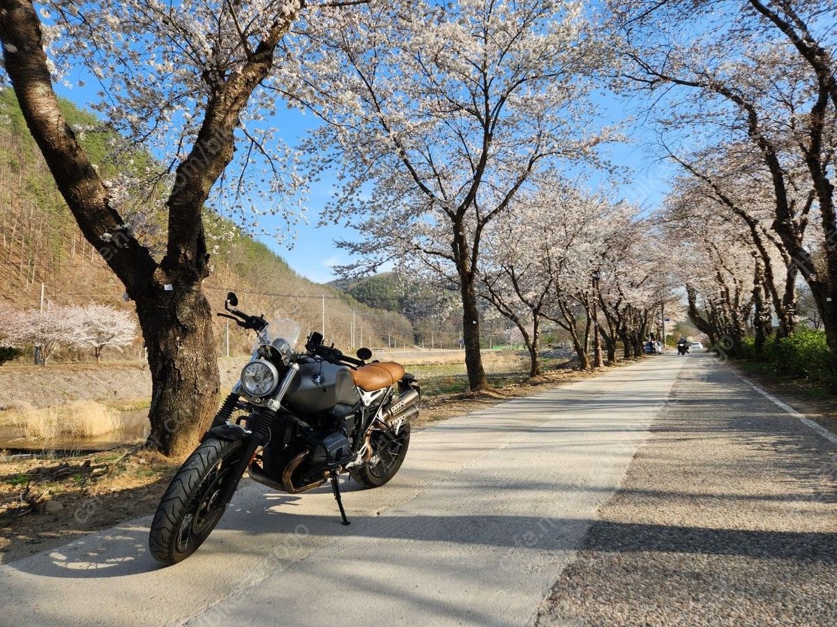 BMW R nine T 스크램블러 main