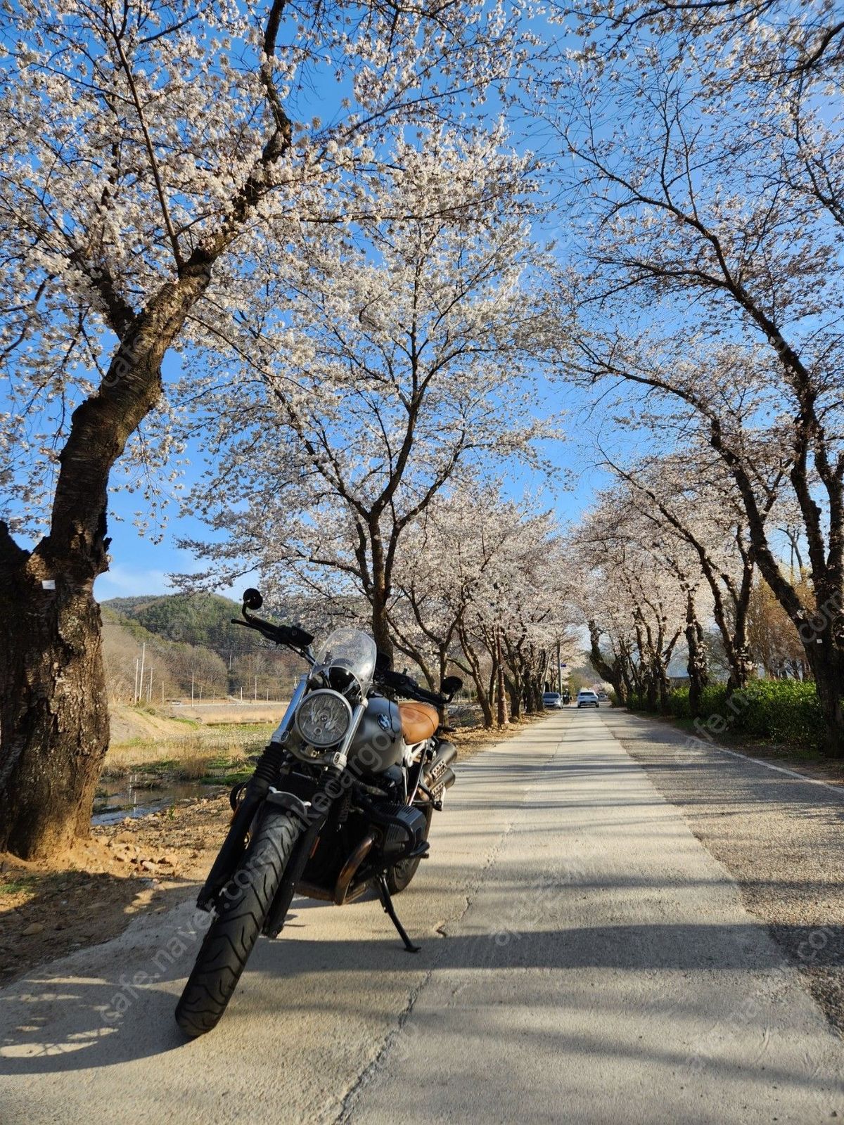 BMW R nine T 스크램블러 thumb 2