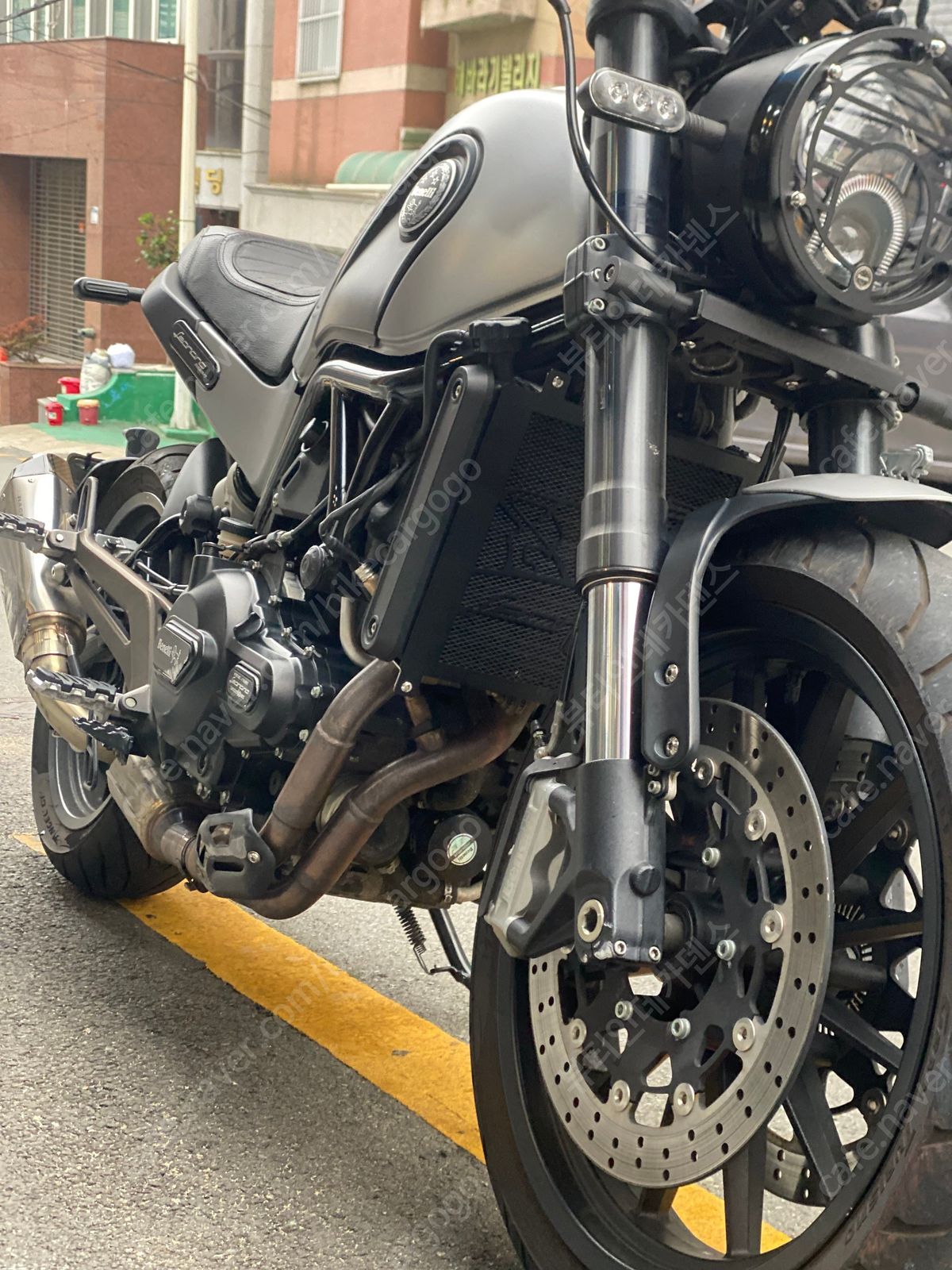 베넬리 레온치노 500 4